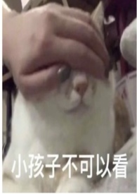 百日蔷薇